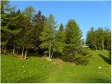 Bistriška planina - Koča na Dobrči